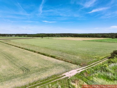 Masłowiec - na trasie Milicz /Trzebnica - ROLNA-1