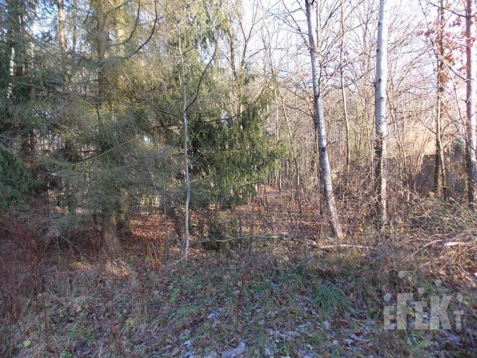 Działka budowlana Grabina Radziwiłłowska Gratka.pl Oferta archiwalna