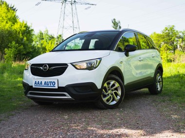 Opel , Salon Polska, Serwis ASO, Skóra, Klimatronic, Tempomat,-1