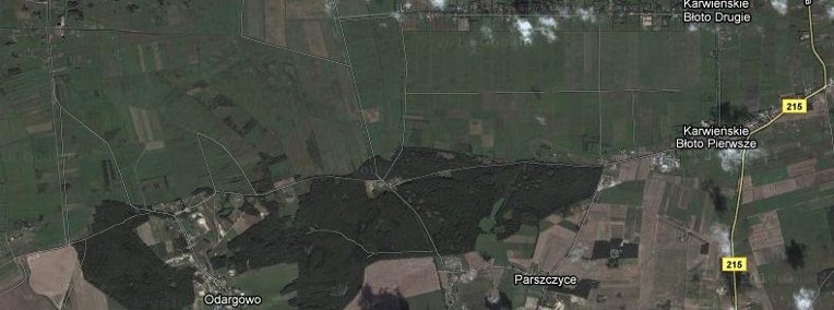 Działka rolna obręb Karwieńskie Błota   10 zł/m2-1