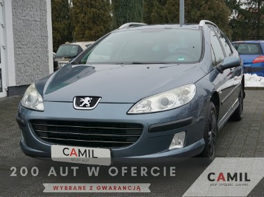 Peugeot 407-1