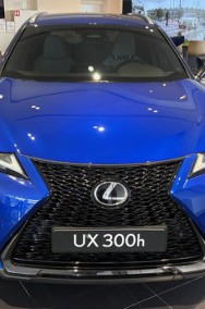 Lexus UX 300h F Sport Design 2.0 Hybrid Dynamic Force F Sport Design 2.0 Hybrid-2