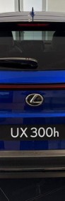 Lexus UX 300h F Sport Design 2.0 Hybrid Dynamic Force F Sport Design 2.0 Hybrid-3