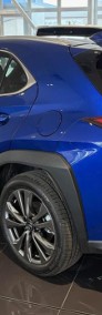Lexus UX 300h F Sport Design 2.0 Hybrid Dynamic Force F Sport Design 2.0 Hybrid-4