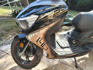  609 - 125cm pierwszy właściciel -1