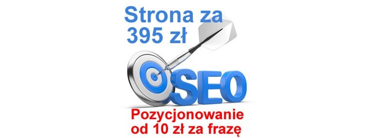 POZYCJONOWANIE stron Gorzów Wielkopolski tworzenie stron WWW strony internetowe-1