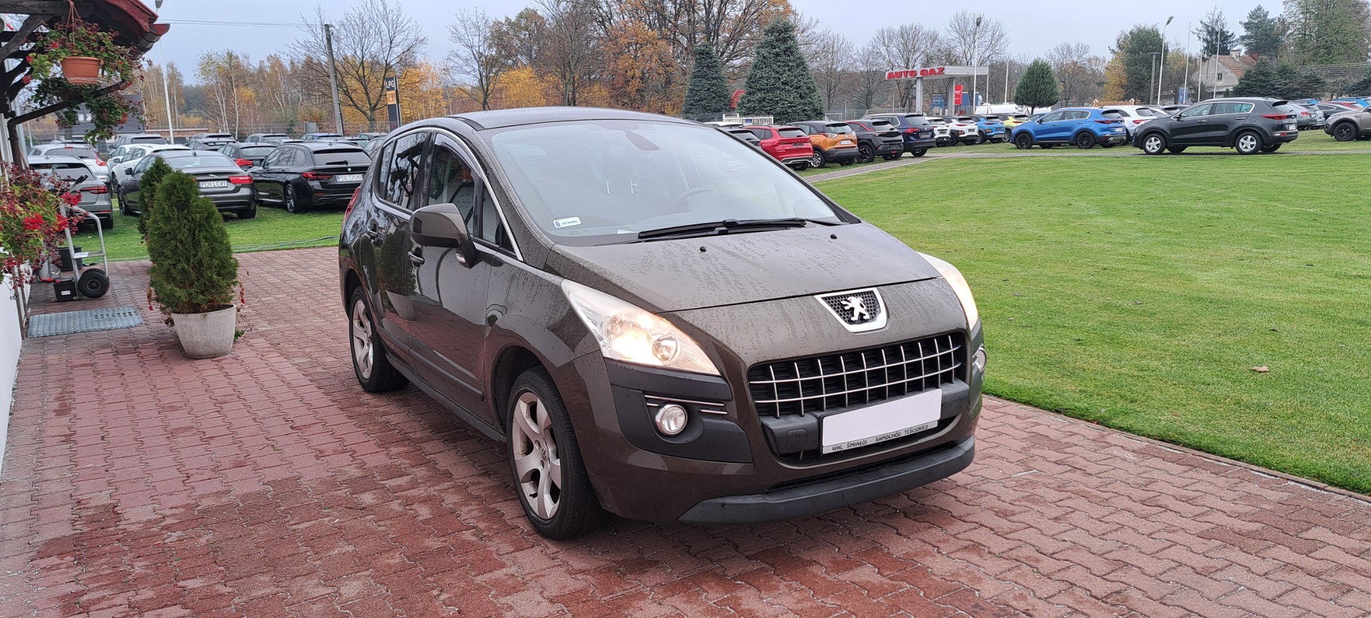 Peugeot 3008 I Panorama