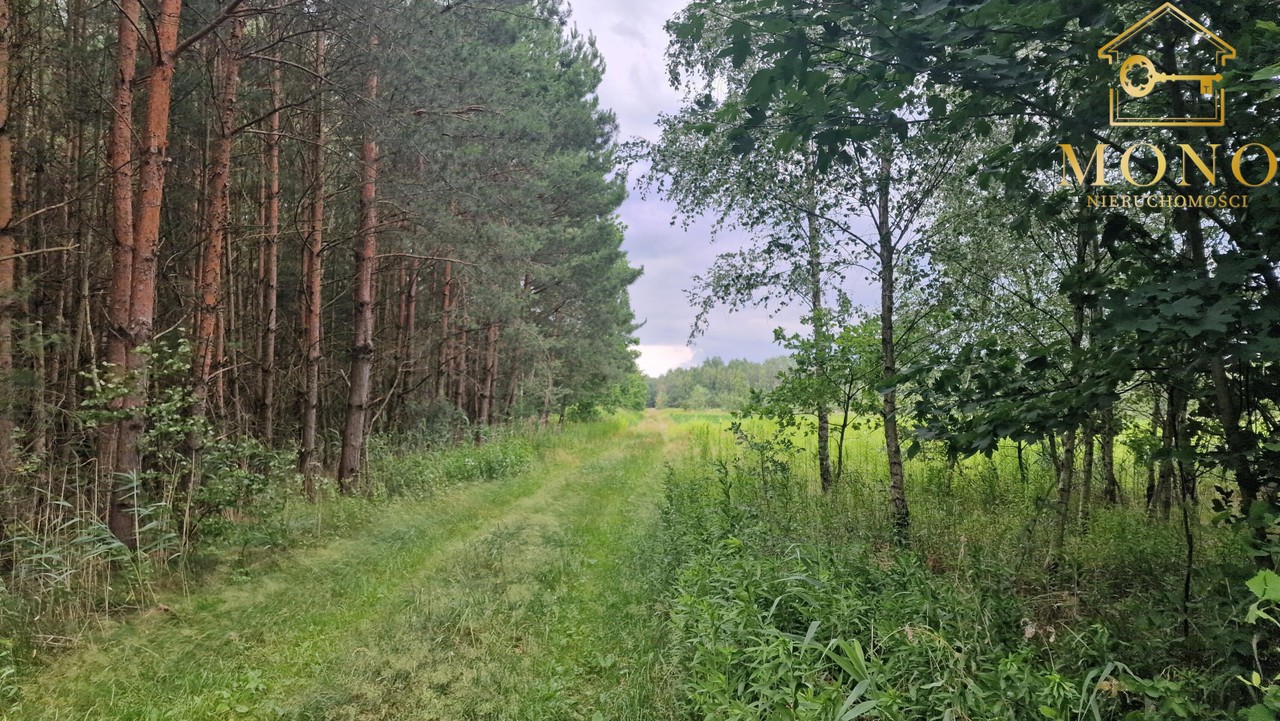 Duża 1,82 ha działka rolna blisko Buska-Zdroju. - Widok 2