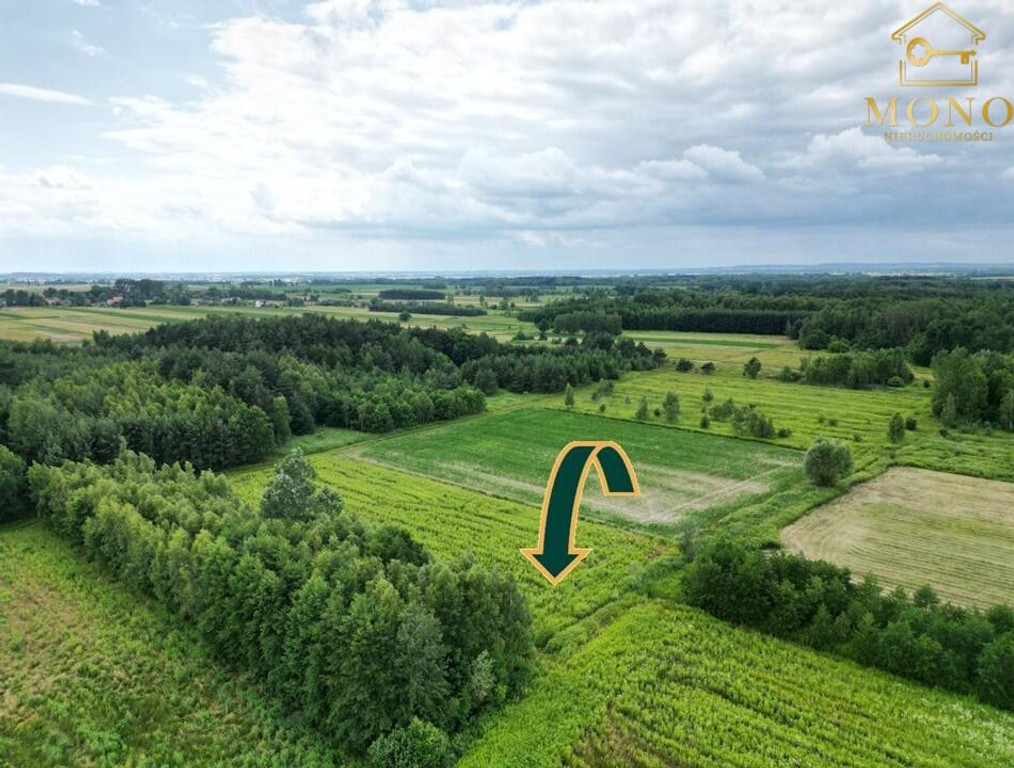 Duża 1,82 ha działka rolna blisko Buska-Zdroju. - Widok 3