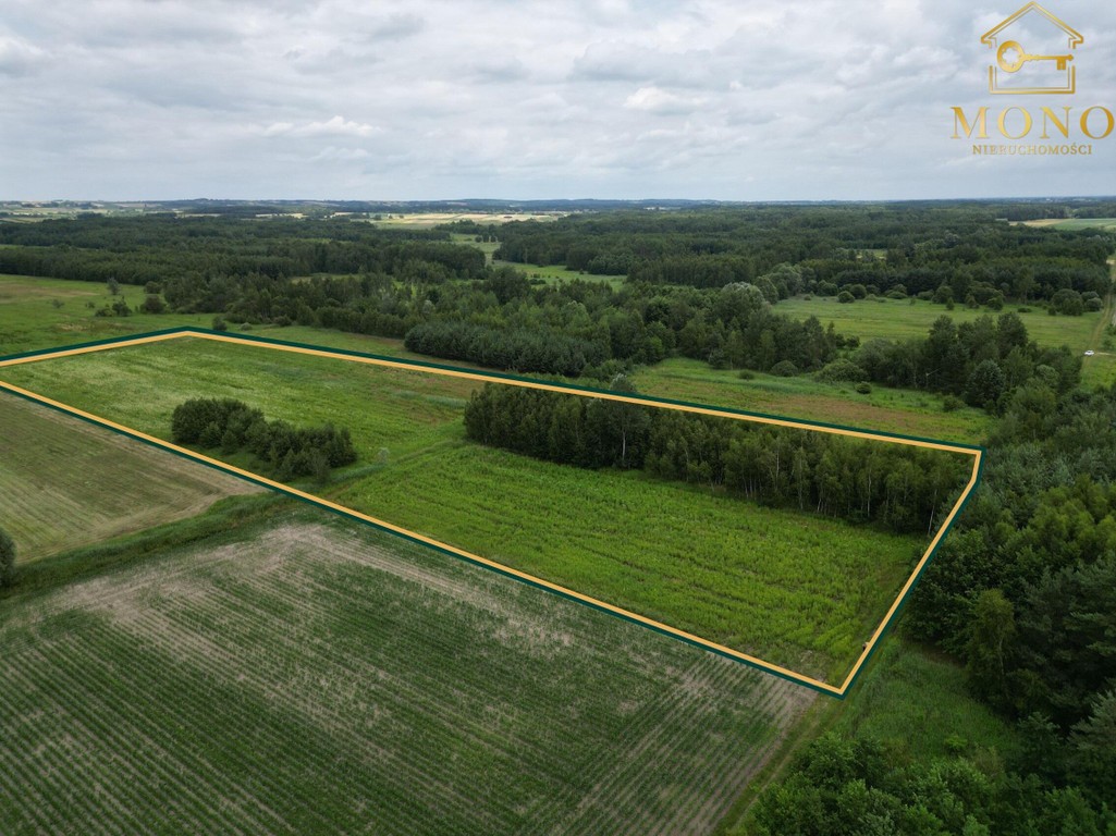 Duża 1,82 ha działka rolna blisko Buska-Zdroju. - Widok 5