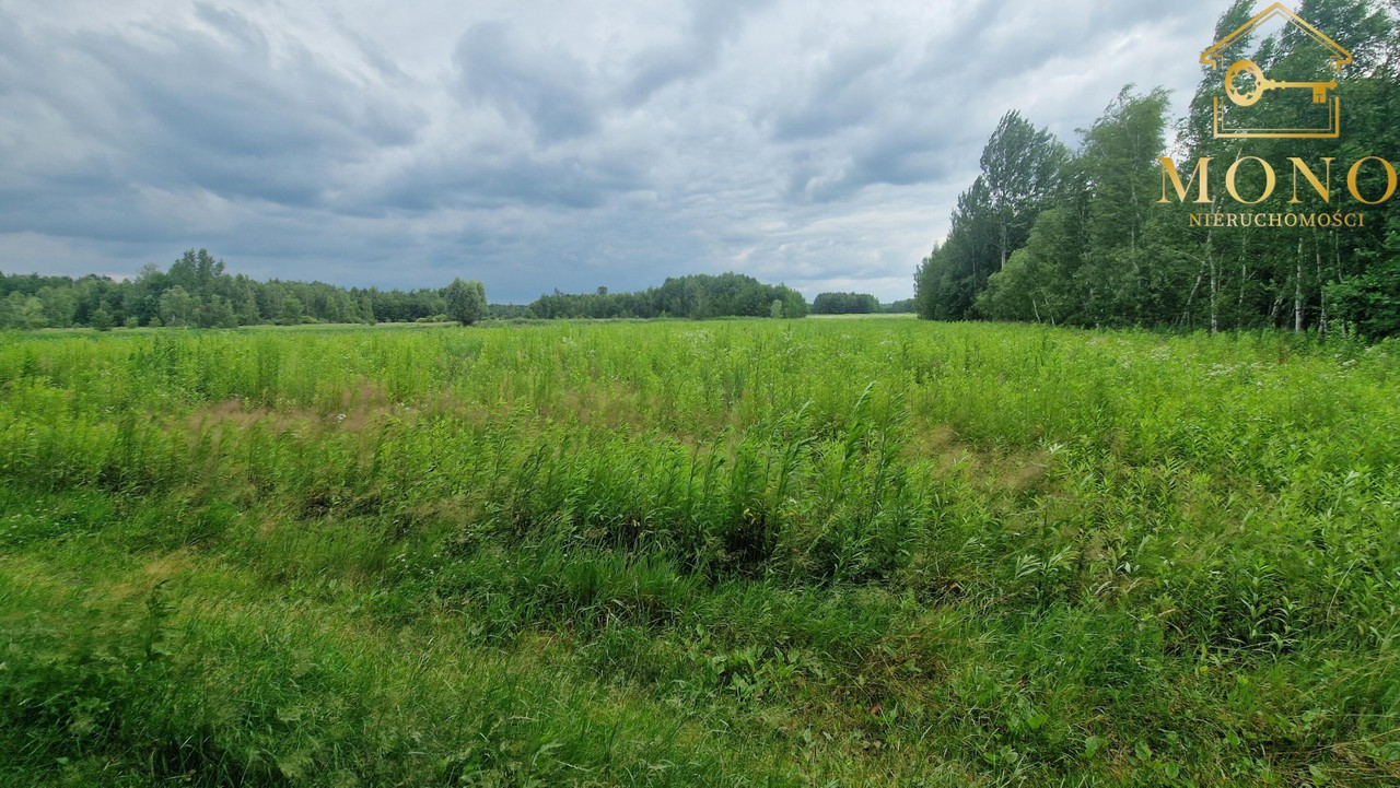 Duża 1,82 ha działka rolna blisko Buska-Zdroju. - Widok 6