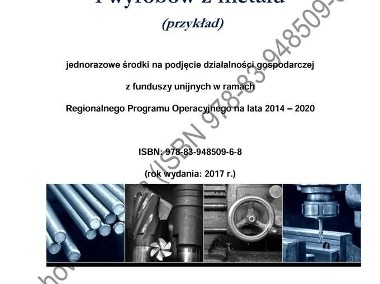 BIZNESPLAN – produkcja maszyn, urządzeń i wyrobów z metalu (przykład)-1