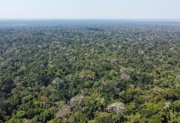 Działka inna State Of Amazonas