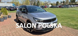 Opel Inny Opel SALON-BEZWYPADKOWY-BOGATA WERSJA