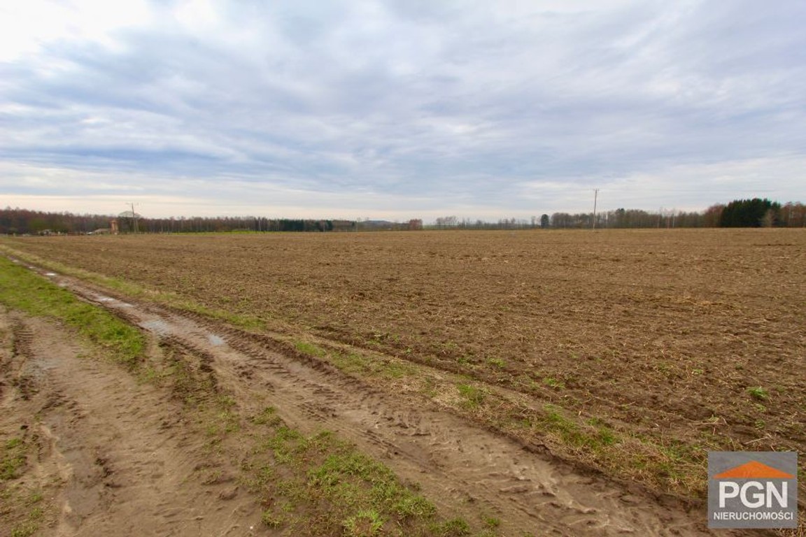 Działka rolna - Widok 5