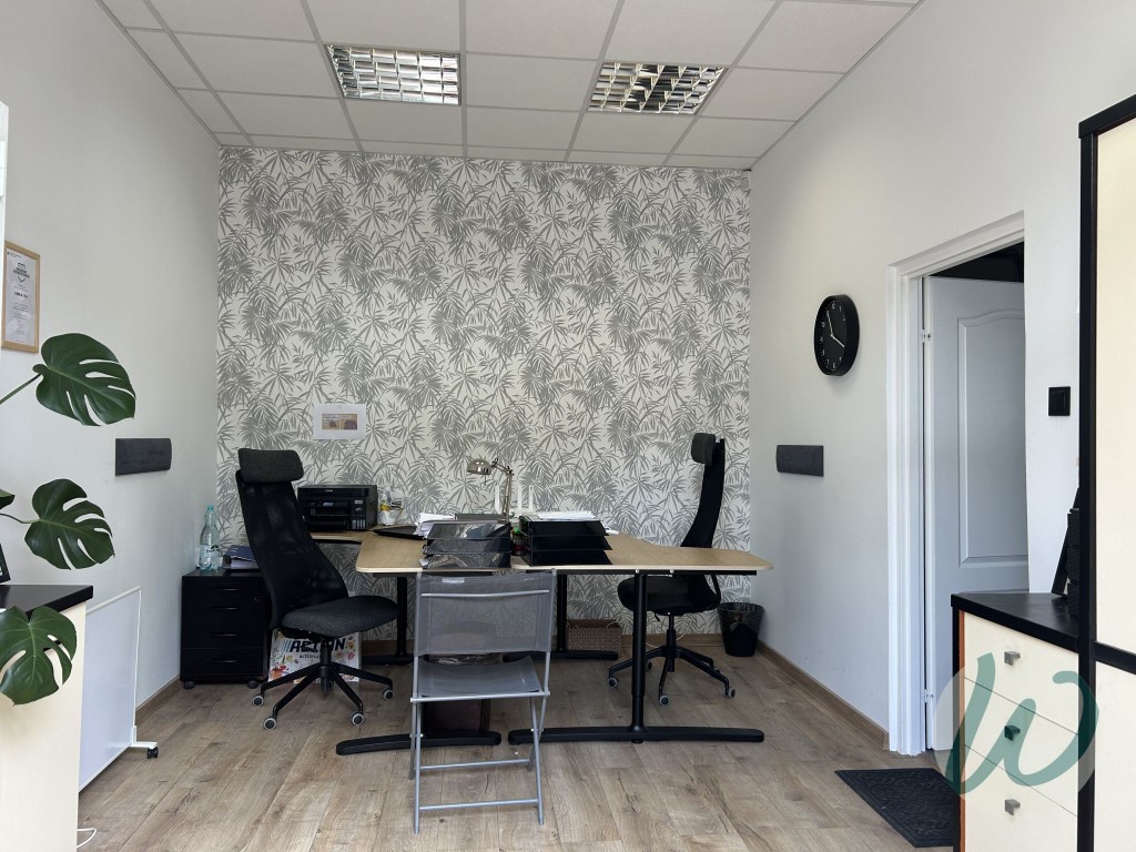 Lokal magazynowo-produkcyjny - Widok 2