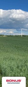 Działka rolna w Mieruniszkach-3