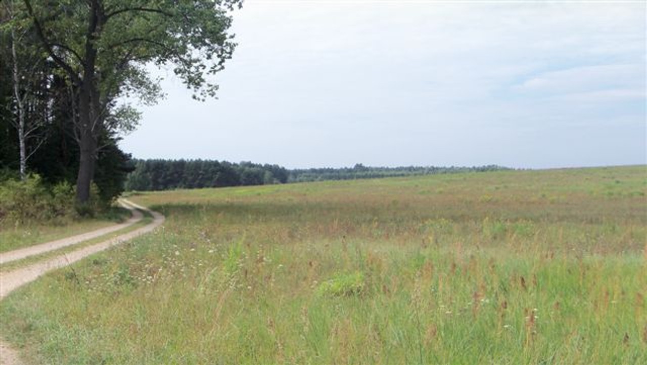 Działka Na Cele Rolnicze - Widok 2