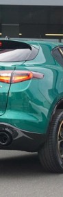 Alfa Romeo Stelvio Turbo Intensa Q4 2.0 Turbo Intensa Q4 (280KM) lakier specjalny zielo-3