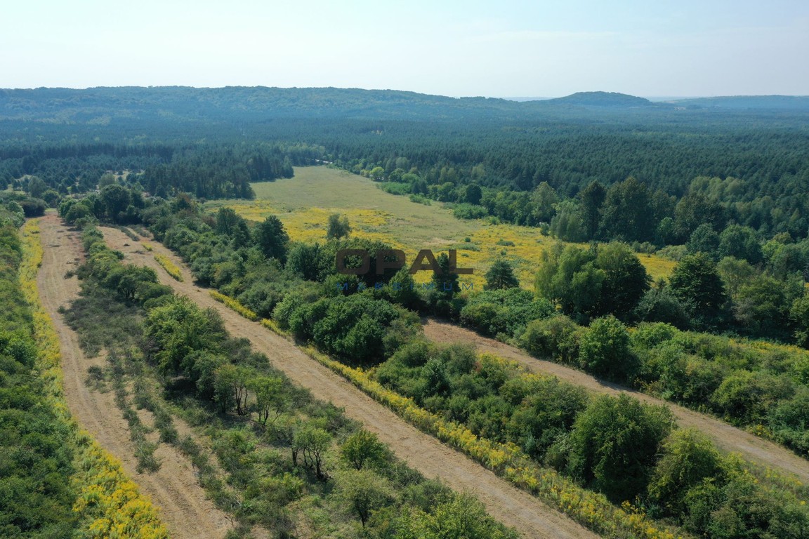 Na sprzedaż grunt inwestycyjny 14,8052 ha – Ogrodzieniec, ul. Olkuska - Widok 3