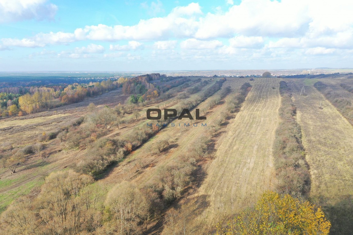 Na sprzedaż grunt inwestycyjny 14,8052 ha – Ogrodzieniec, ul. Olkuska - Widok 4