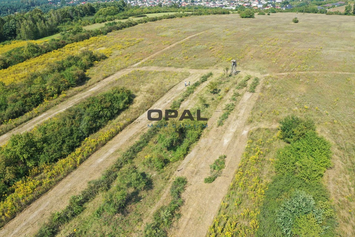 Na sprzedaż grunt inwestycyjny 14,8052 ha – Ogrodzieniec, ul. Olkuska - Widok 5
