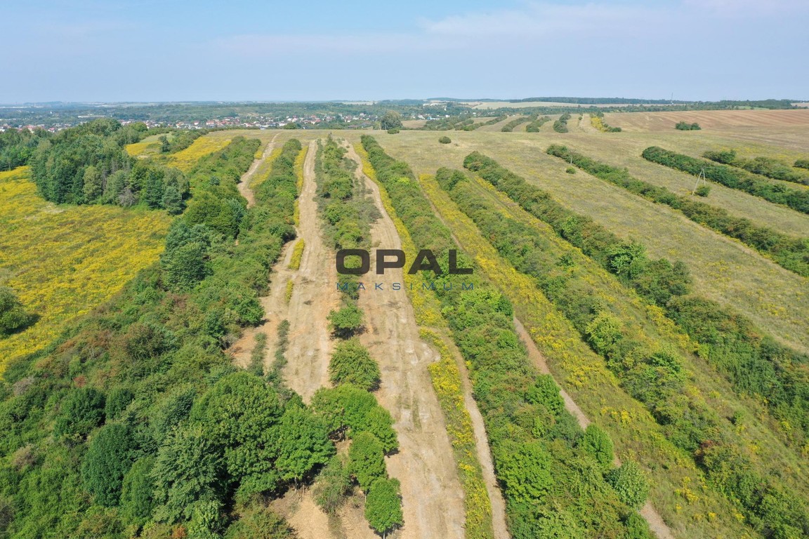 Na sprzedaż grunt inwestycyjny 14,8052 ha – Ogrodzieniec, ul. Olkuska - Widok 6