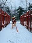 Spójrz tylko w oczy moje one pragną człowieka Lukier