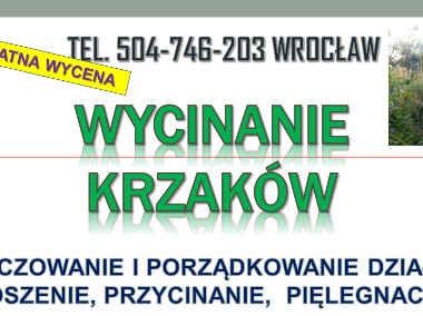 Wycinanie krzaków, cena, tel.. Karczowanie zarośli, Wrocław-1