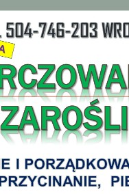 Wycinanie krzaków, cena, tel.. Karczowanie zarośli, Wrocław-2