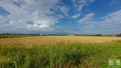 Działka budowlana Pieszyce