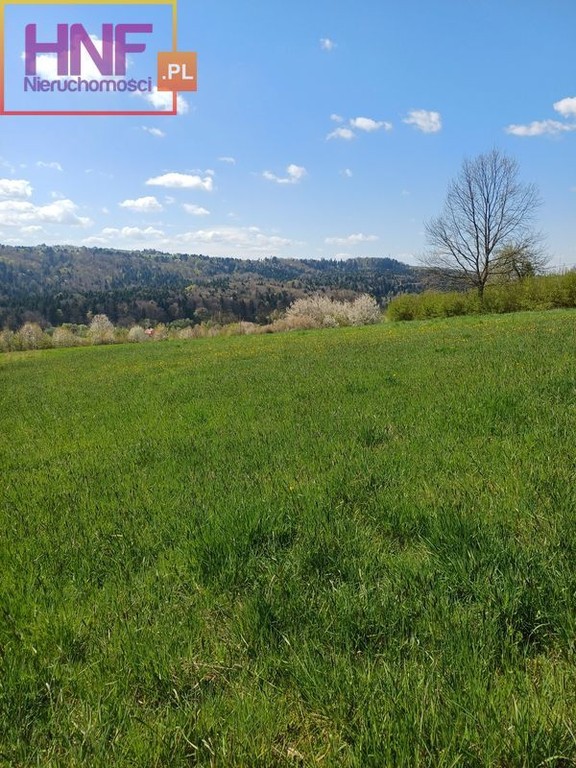Korzenna działki budowlane 10ar - Widok 6