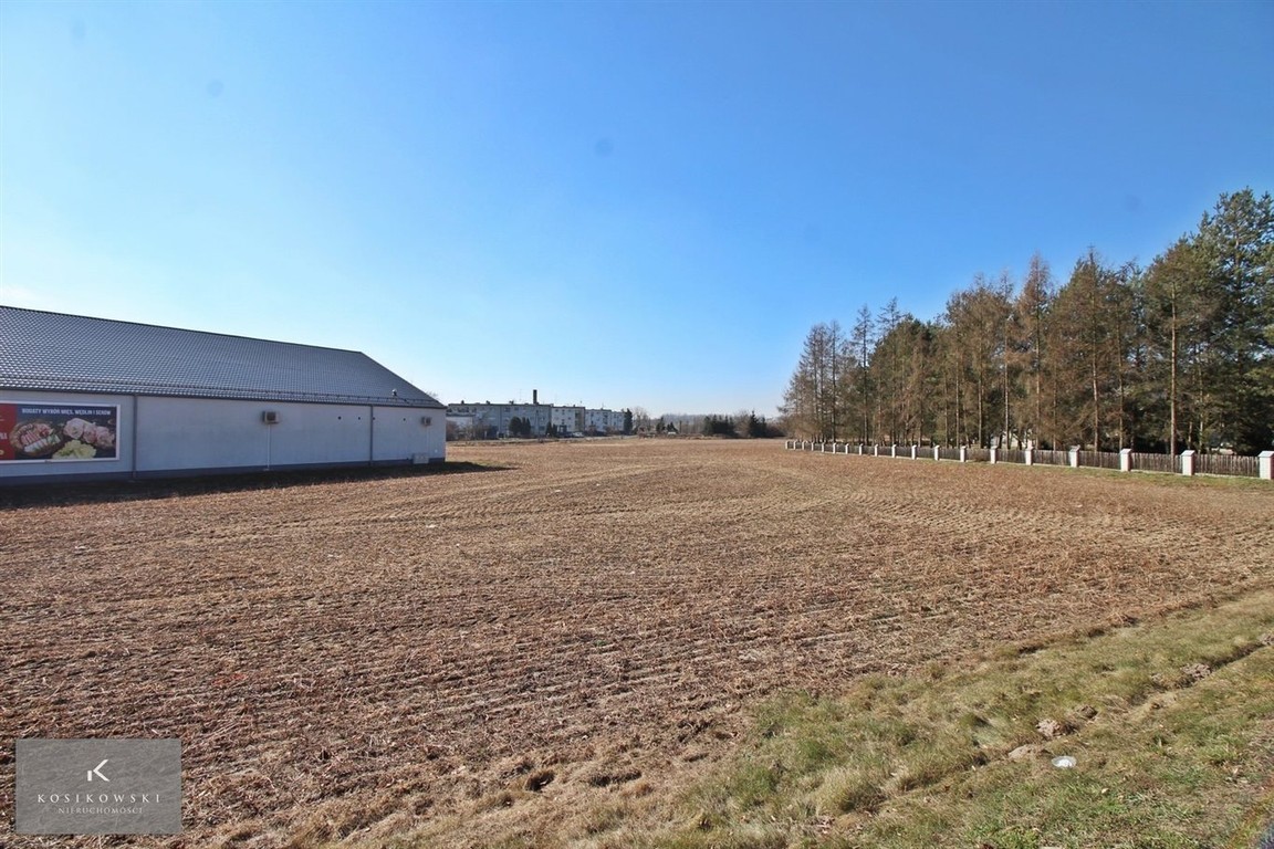 Działka inwestycyjna 2,3ha w Domaszowicach - Widok 3