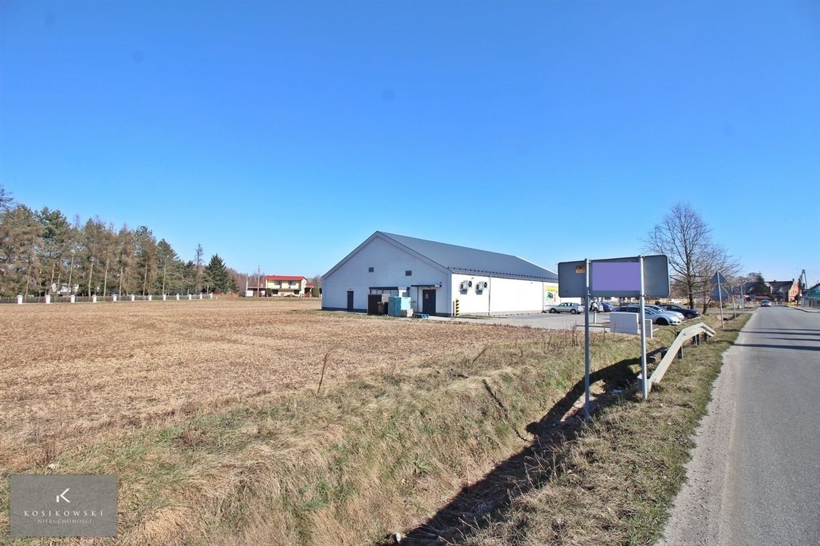 Działka inwestycyjna 2,3ha w Domaszowicach - Widok 6