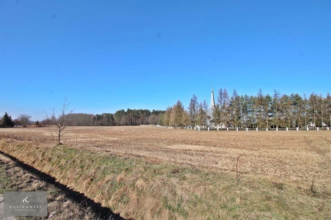 Działka inwestycyjna 2,3ha w Domaszowicach - Więcej