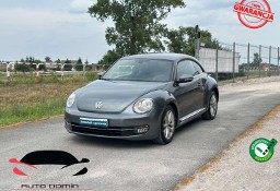Volkswagen Beetle III