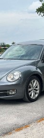 Volkswagen Beetle III-3
