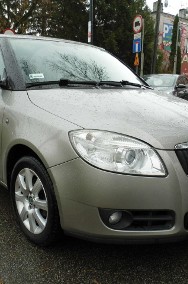 Skoda Fabia II-2