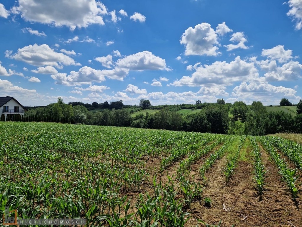 Działka na sprzedaż, 2500 m², Iwanowice Damice - Widok 2