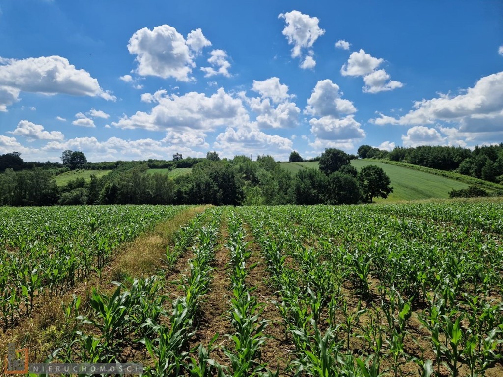 Działka na sprzedaż, 2500 m², Iwanowice Damice - Widok 4