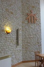 Kamień elewacyjny dekoracyjny piaskowiec na elewacje-2