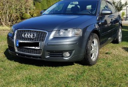 Audi A3 II (8P) 1.9 TDI 2004