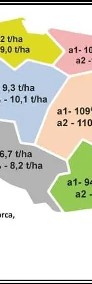 Pszenżyto Ozime CORADO - Plenne Zdrowe Sztywne Nasiona Pszenżyta Danko-4