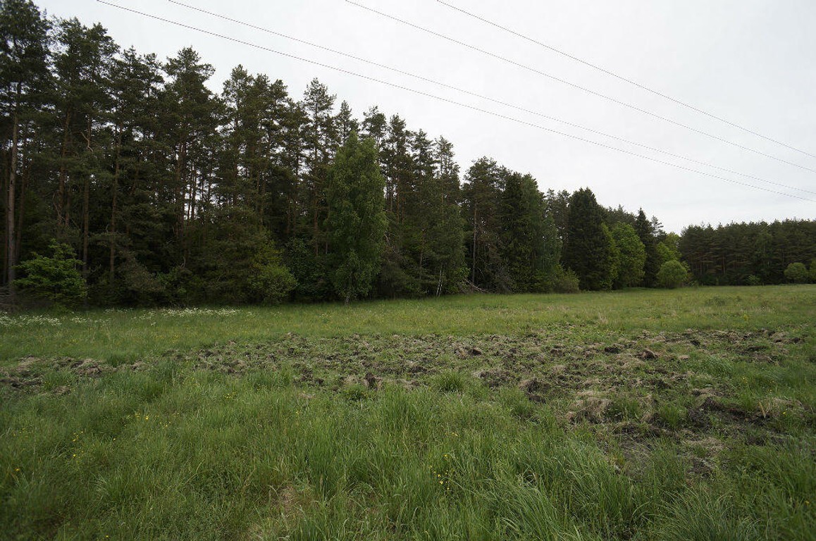 Działka na sprzedaż, 16400 m², Ełk Regiel - Widok 2