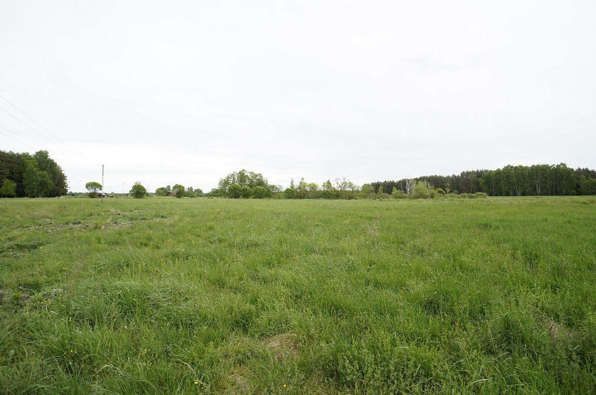 Działka na sprzedaż, 16400 m², Ełk Regiel - Widok 3
