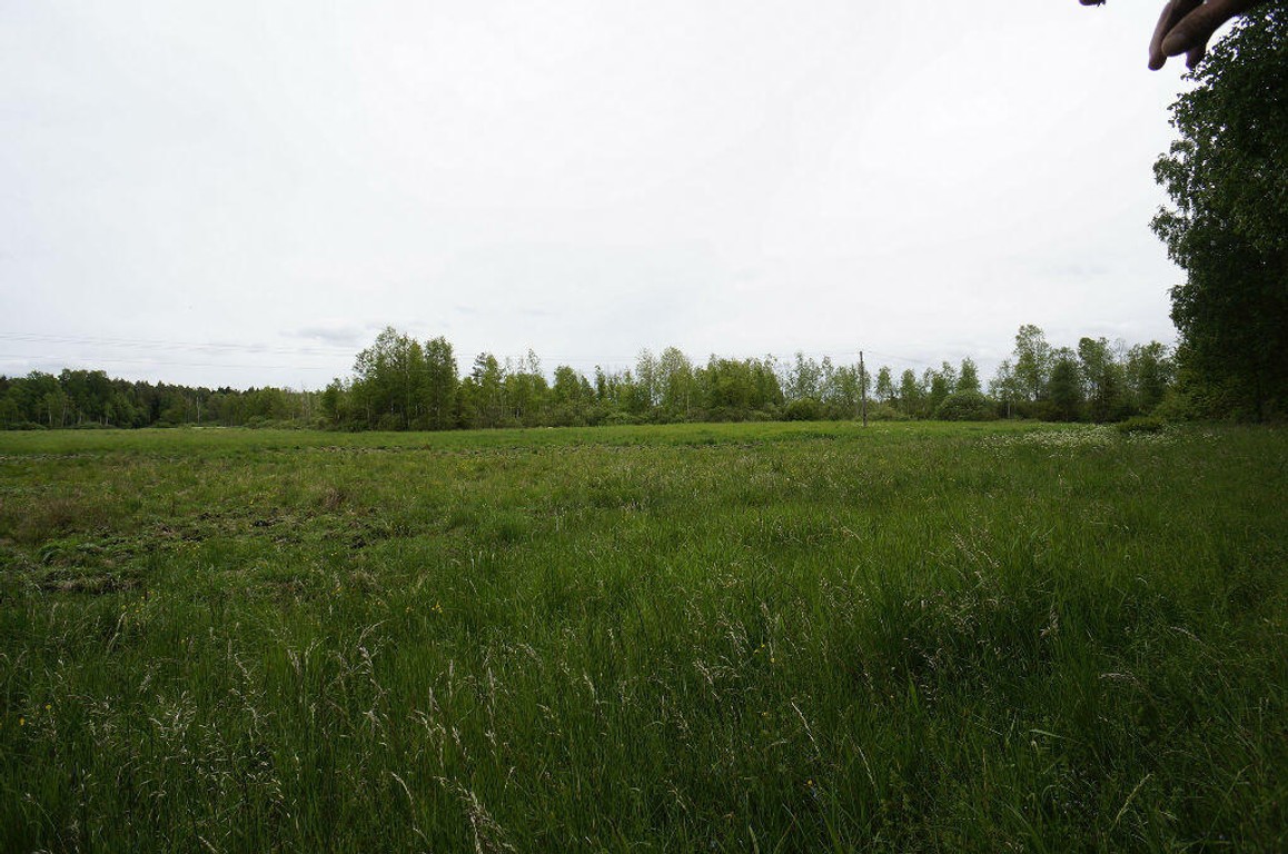 Działka na sprzedaż, 16400 m², Ełk Regiel - Widok 4