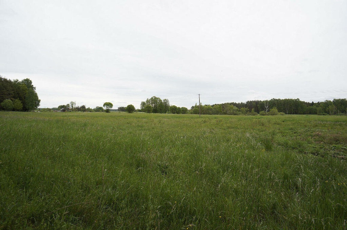 Działka na sprzedaż, 16400 m², Ełk Regiel - Widok 5