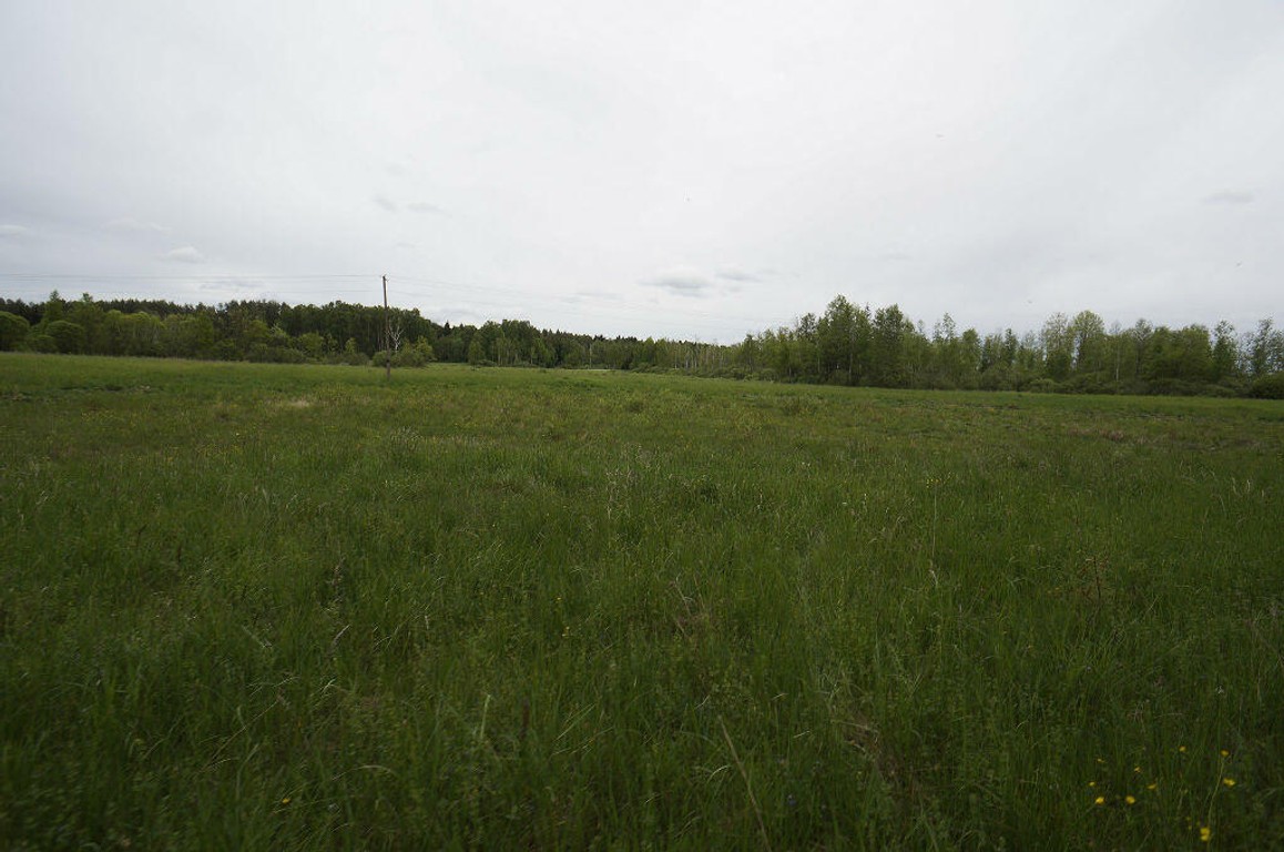 Działka na sprzedaż, 16400 m², Ełk Regiel - Widok 6