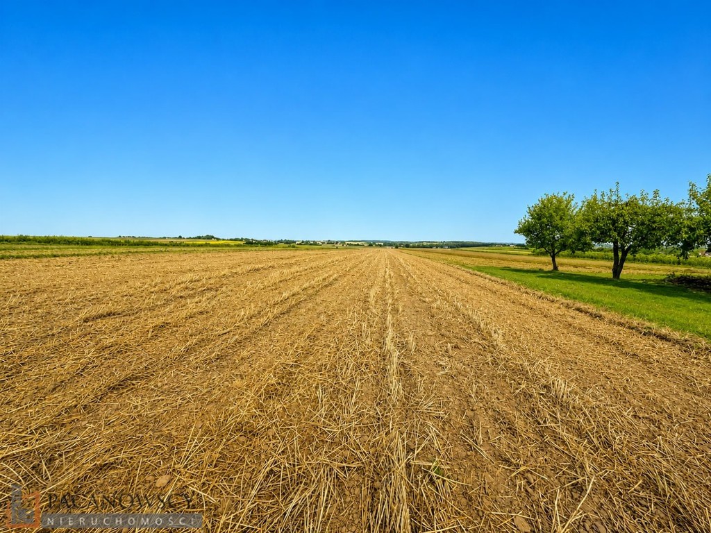 Działka na sprzedaż, 3035 m², Skała Cianowice, małopolskie