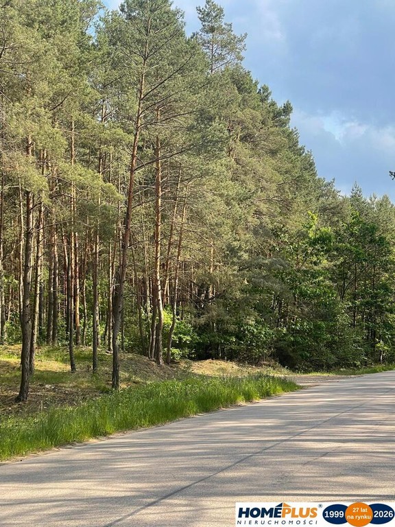 Idealne miejsce na dom,6241 m² blisko lasu i rzeki - Widok 2